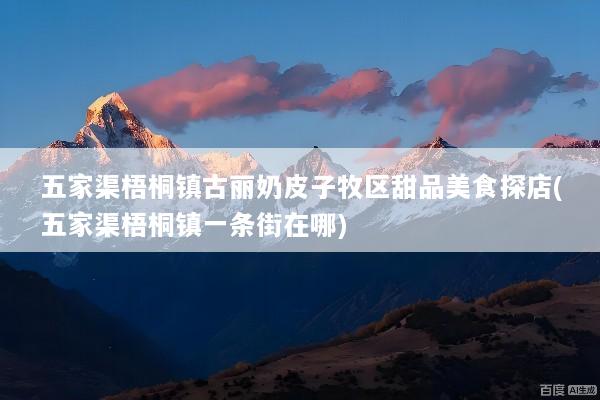 五家渠梧桐镇古丽奶皮子牧区甜品美食探店(五家渠梧桐镇一条街在哪)