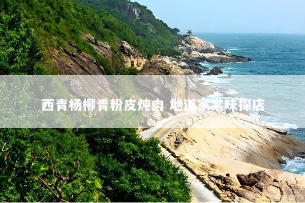西青杨柳青粉皮炖肉 地道家常味探店