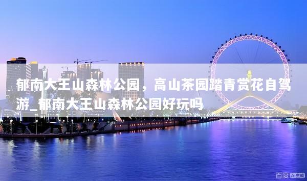 郁南大王山森林公园，高山茶园踏青赏花自驾游_郁南大王山森林公园好玩吗
