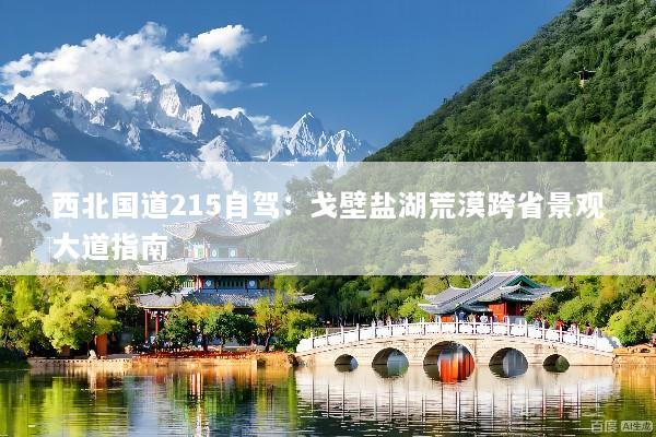 西北国道215自驾：戈壁盐湖荒漠跨省景观大道指南