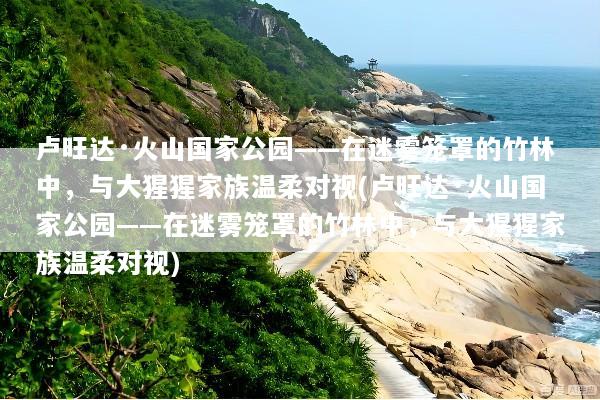 卢旺达·火山国家公园——在迷雾笼罩的竹林中，与大猩猩家族温柔对视(卢旺达·火山国家公园——在迷雾笼罩的竹林中，与大猩猩家族温柔对视)