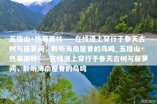 五指山·热带雨林——在栈道上穿行于参天古树与藤萝间，聆听海南屋脊的鸟鸣_五指山·热带雨林——在栈道上穿行于参天古树与藤萝间，聆听海南屋脊的鸟鸣