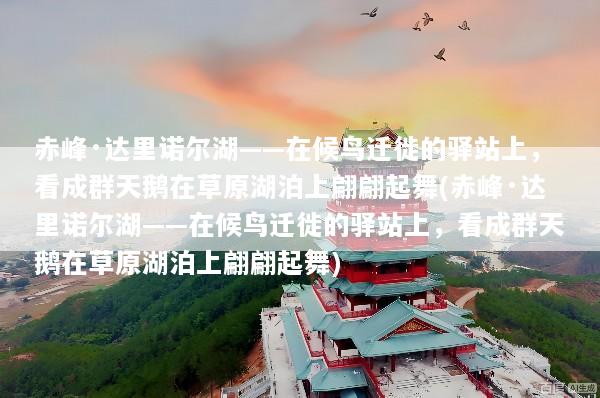 赤峰·达里诺尔湖——在候鸟迁徙的驿站上，看成群天鹅在草原湖泊上翩翩起舞(赤峰·达里诺尔湖——在候鸟迁徙的驿站上，看成群天鹅在草原湖泊上翩翩起舞)