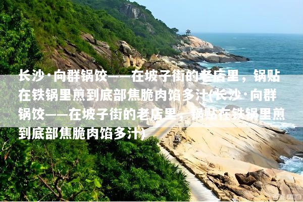 长沙·向群锅饺——在坡子街的老店里，锅贴在铁锅里煎到底部焦脆肉馅多汁(长沙·向群锅饺——在坡子街的老店里，锅贴在铁锅里煎到底部焦脆肉馅多汁)