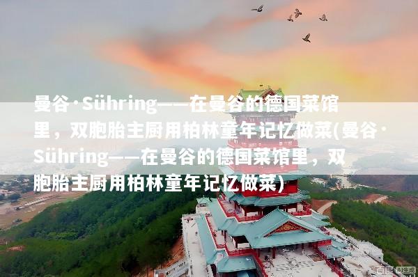 曼谷·Sühring——在曼谷的德国菜馆里，双胞胎主厨用柏林童年记忆做菜(曼谷·Sühring——在曼谷的德国菜馆里，双胞胎主厨用柏林童年记忆做菜)