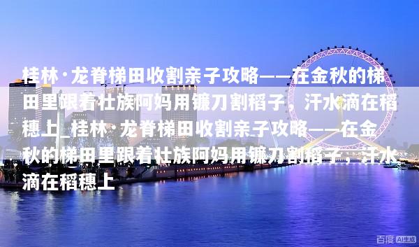 桂林·龙脊梯田收割亲子攻略——在金秋的梯田里跟着壮族阿妈用镰刀割稻子，汗水滴在稻穗上_桂林·龙脊梯田收割亲子攻略——在金秋的梯田里跟着壮族阿妈用镰刀割稻子，汗水滴在稻穗上