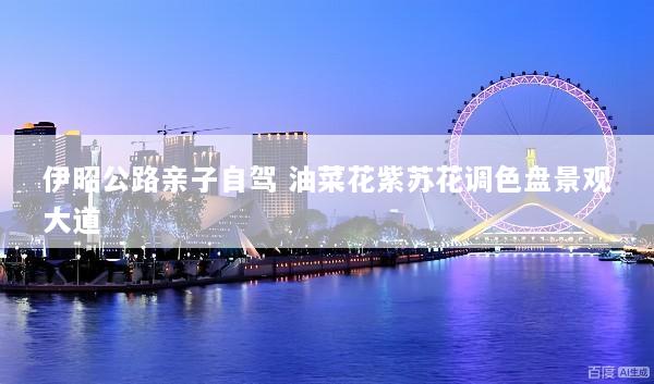 伊昭公路亲子自驾 油菜花紫苏花调色盘景观大道