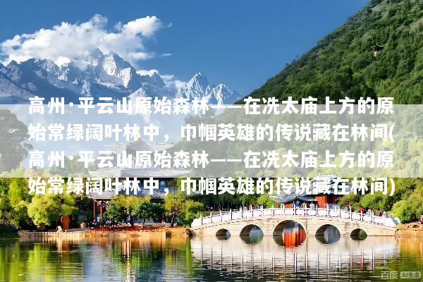 高州·平云山原始森林——在冼太庙上方的原始常绿阔叶林中，巾帼英雄的传说藏在林间(高州·平云山原始森林——在冼太庙上方的原始常绿阔叶林中，巾帼英雄的传说藏在林间)
