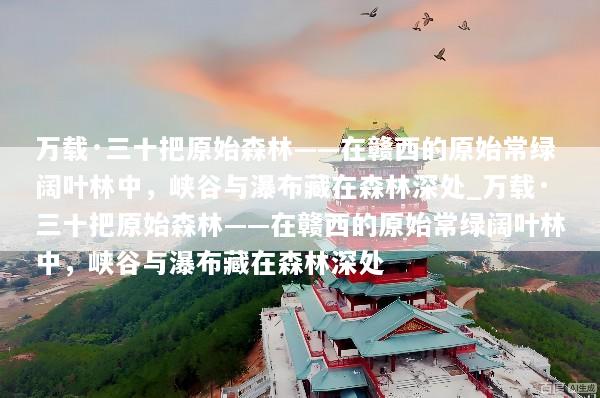 万载·三十把原始森林——在赣西的原始常绿阔叶林中，峡谷与瀑布藏在森林深处_万载·三十把原始森林——在赣西的原始常绿阔叶林中，峡谷与瀑布藏在森林深处