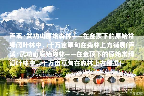 芦溪·武功山原始森林——在金顶下的原始常绿阔叶林中，十万亩草甸在森林上方铺展(芦溪·武功山原始森林——在金顶下的原始常绿阔叶林中，十万亩草甸在森林上方铺展)