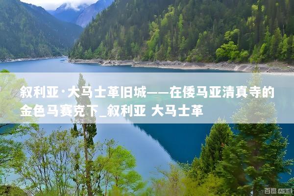 叙利亚·大马士革旧城——在倭马亚清真寺的金色马赛克下_叙利亚 大马士革
