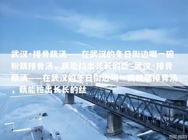 武汉·排骨藕汤——在武汉的冬日街边喝一碗粉藕排骨汤，藕能拉出长长的丝_武汉·排骨藕汤——在武汉的冬日街边喝一碗粉藕排骨汤，藕能拉出长长的丝