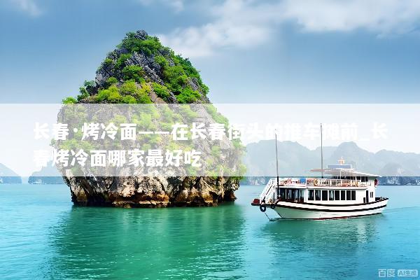 长春·烤冷面——在长春街头的推车摊前_长春烤冷面哪家最好吃