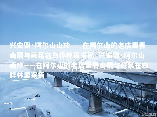 兴安盟·阿尔山山珍——在阿尔山的老店里看山蘑与蕨菜在白桦林里采摘_兴安盟·阿尔山山珍——在阿尔山的老店里看山蘑与蕨菜在白桦林里采摘