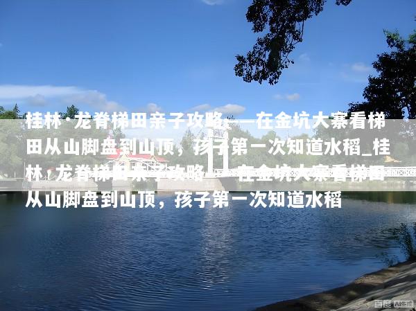 桂林·龙脊梯田亲子攻略——在金坑大寨看梯田从山脚盘到山顶，孩子第一次知道水稻_桂林·龙脊梯田亲子攻略——在金坑大寨看梯田从山脚盘到山顶，孩子第一次知道水稻