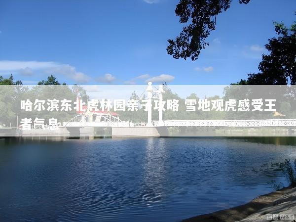 哈尔滨东北虎林园亲子攻略 雪地观虎感受王者气息